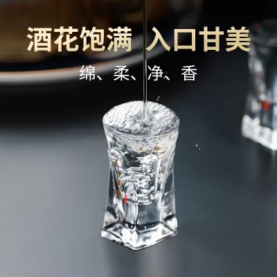 西凤酒 华山论剑20年 凤香型 白酒 52度 500ml