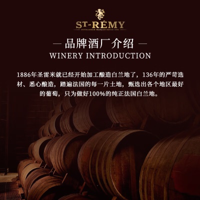 圣雷米 ST-REMY X.O 干邑白兰地洋酒 法国原瓶进口 跨境直採 保税仓直发 圣雷米XO700ml