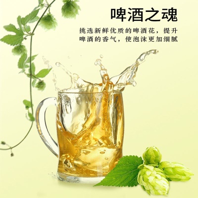 荞公子苦荞原浆啤酒 330ml*24听 整箱装 苦荞原浆啤酒330ml*24听罐 *24 *24听罐